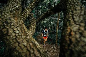 BIB: 
                            <button type="button" onclick="openModal(25708973)" class="btn btn-primary btn-sm float-right btn-popup" data-toggle="modal" data-target=".modal-high-quality">
                        <i class="fas fa-shopping-cart"></i> Add to Cart
                    </button>
                                            <button type="button" onclick="isThisMe(25708973, true)" class="btn btn-success btn-sm float-right btn-popup btn-isme hidden" data-toggle="tooltip" data-placement="bottom" title="นี่คือรูปของคุณใช่ไหม คลิกที่นี่เพื่อเอาเข้าอัลบั้ม">
                        <i class="fas fa-plus"></i> Add to album
                    </button>
                    <button type="button" onclick="isThisMe(25708973, false)" class="btn btn-warning btn-sm float-right btn-popup btn-isnotme hidden">
                        <i class="fas fa-ban"></i> Remove from album
                    </button>